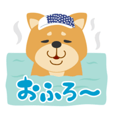 Gokigen Shiba inu's sticker #10850941