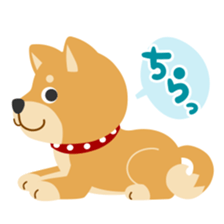 Gokigen Shiba inu's sticker #10850942