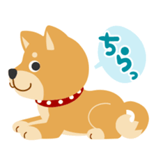 Gokigen Shiba inu's sticker #10850942