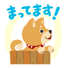 Gokigen Shiba inu's sticker #10850952
