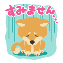 Gokigen Shiba inu's sticker #10850953