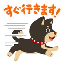 Gokigen Shiba inu's sticker #10850954