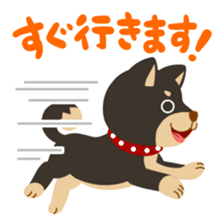 Gokigen Shiba inu's sticker #10850954