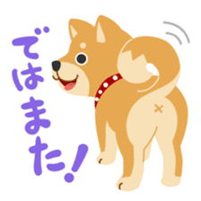 Gokigen Shiba inu's sticker #10850958