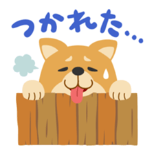 Gokigen Shiba inu's sticker #10850963