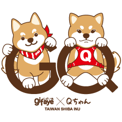 TAIWAN SHIBA - GIFAYE and Q JIANG
