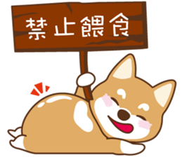 TAIWAN SHIBA - GIFAYE and Q JIANG sticker #10851570