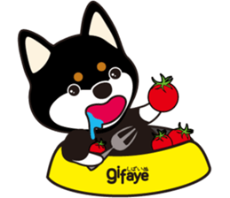 TAIWAN SHIBA - GIFAYE and Q JIANG sticker #10851593