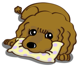Toy Poodle named Moka sticker #10853688