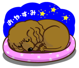 Toy Poodle named Moka sticker #10853690