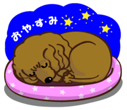 Toy Poodle named Moka sticker #10853690
