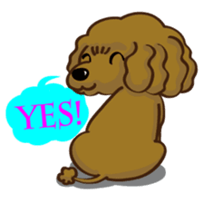 Toy Poodle named Moka sticker #10853691