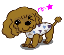 Toy Poodle named Moka sticker #10853693