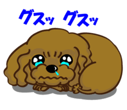 Toy Poodle named Moka sticker #10853694