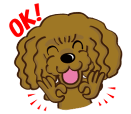 Toy Poodle named Moka sticker #10853696