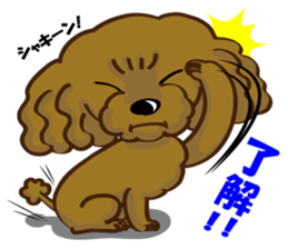 Toy Poodle named Moka sticker #10853697
