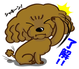 Toy Poodle named Moka sticker #10853697