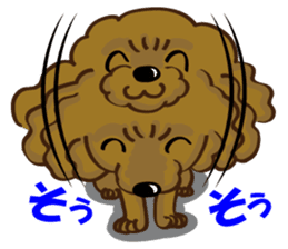 Toy Poodle named Moka sticker #10853699