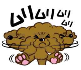 Toy Poodle named Moka sticker #10853700
