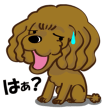 Toy Poodle named Moka sticker #10853701
