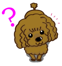Toy Poodle named Moka sticker #10853702