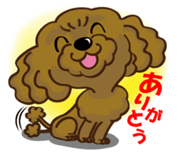 Toy Poodle named Moka sticker #10853704