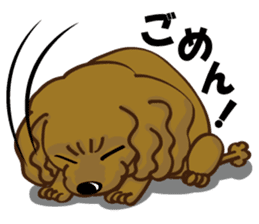 Toy Poodle named Moka sticker #10853705