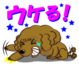 Toy Poodle named Moka sticker #10853706