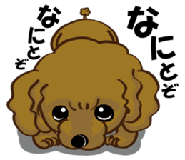 Toy Poodle named Moka sticker #10853710