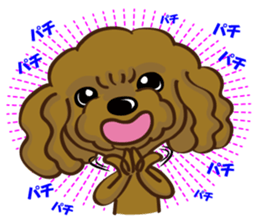 Toy Poodle named Moka sticker #10853711