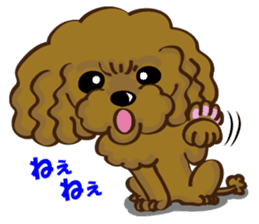 Toy Poodle named Moka sticker #10853713