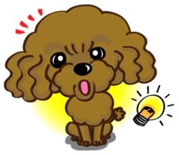 Toy Poodle named Moka sticker #10853714
