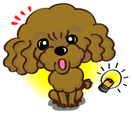 Toy Poodle named Moka sticker #10853714