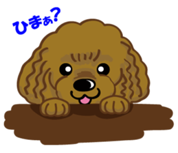 Toy Poodle named Moka sticker #10853715