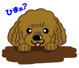 Toy Poodle named Moka sticker #10853715