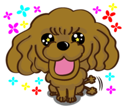 Toy Poodle named Moka sticker #10853719
