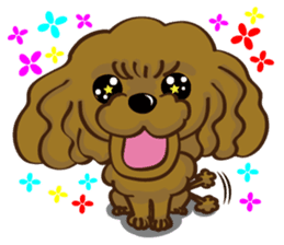 Toy Poodle named Moka sticker #10853719