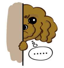 Toy Poodle named Moka sticker #10853722