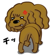 Toy Poodle named Moka sticker #10853724