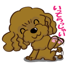 Toy Poodle named Moka sticker #10853726