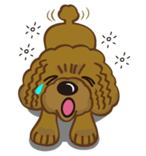 Toy Poodle named Moka sticker #10853727