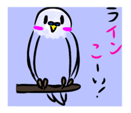 animaljokes sticker #10853802
