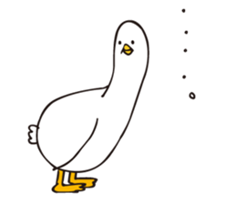 Family of the duck sticker #10854248