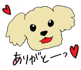 A toy poodle Anzu. sticker #10856290