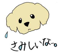 A toy poodle Anzu. sticker #10856295