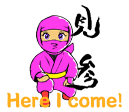 IGA IGA-RYU NINJA SCHOOL(English ver.) sticker #10856688