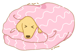 MIDO Family sticker #10856812