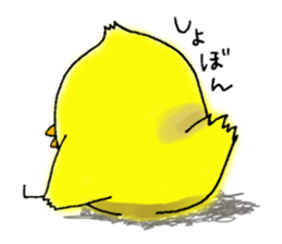 Cool Chick Piyo sticker #10862864