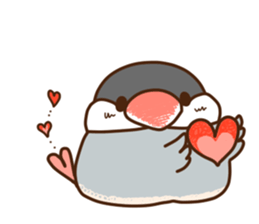 The java sparrow. sticker #10863050