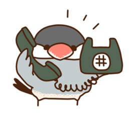 The java sparrow. sticker #10863051